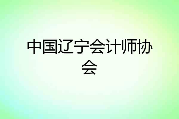 中国辽宁会计师协会