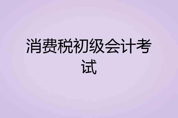 消费税初级会计考试