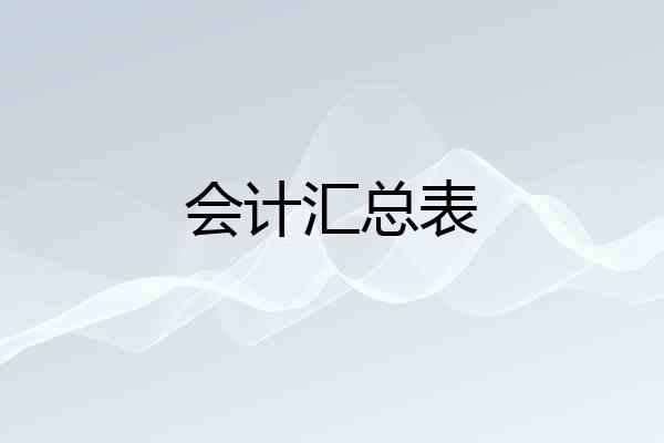 会计汇总表