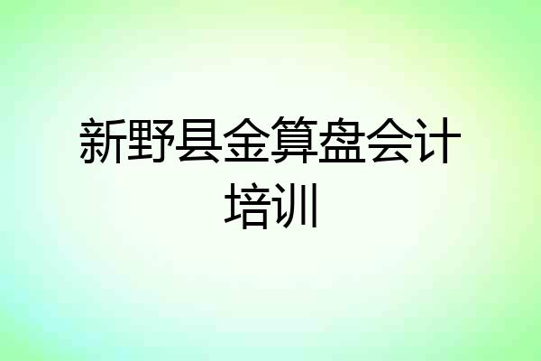 新野县金算盘会计培训