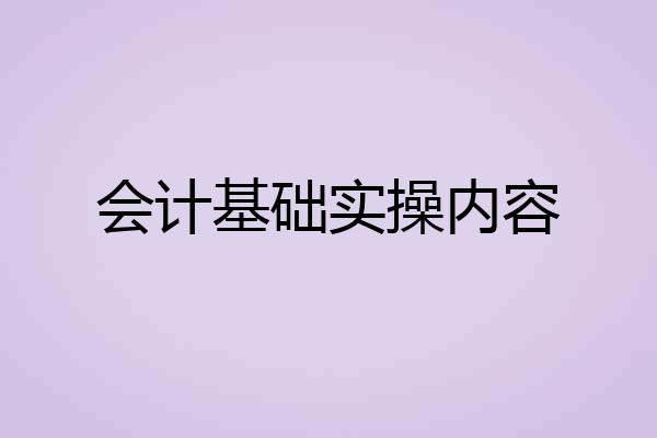 会计基础实操内容