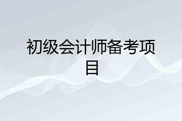 初级会计师备考项目
