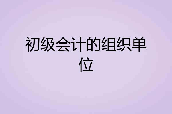 初级会计的组织单位