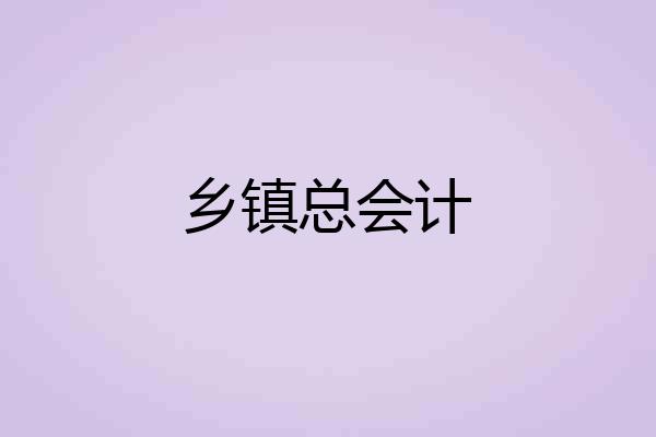 乡镇总会计