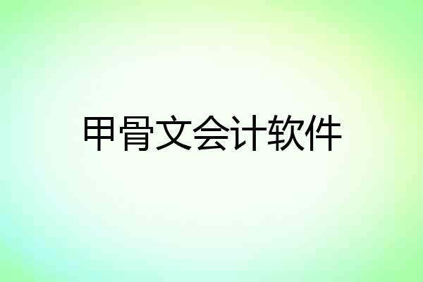 甲骨文会计软件