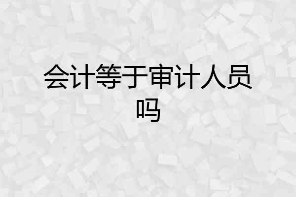 会计等于审计人员吗