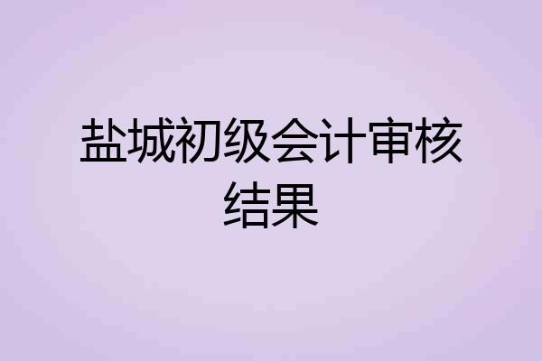 盐城初级会计审核结果
