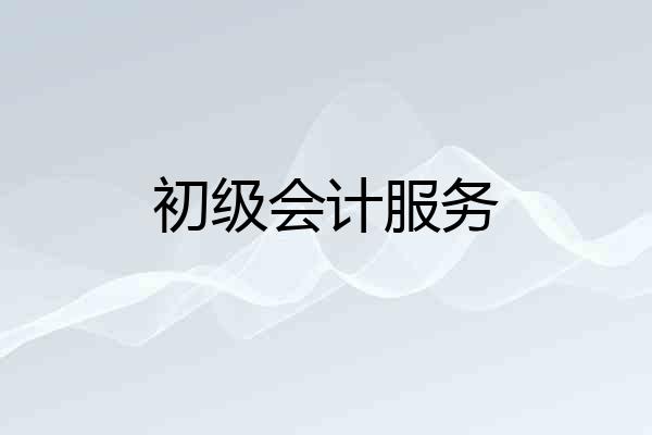 初级会计服务