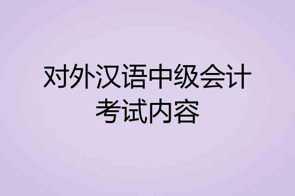 对外汉语中级会计考试内容