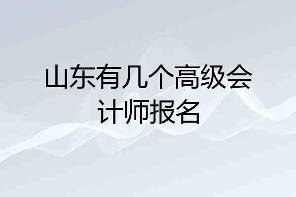 山东有几个高级会计师报名