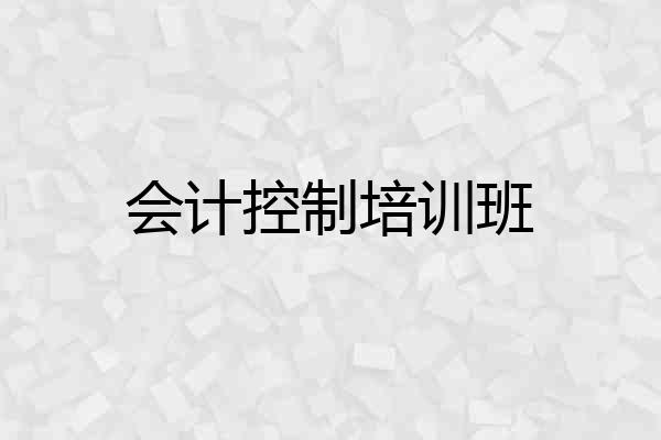 会计控制培训班
