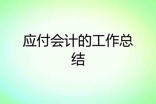 应付会计的工作总结