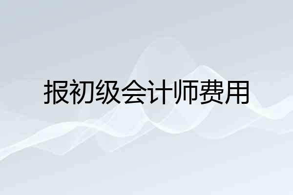 报初级会计师费用