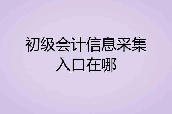 初级会计信息采集入口在哪