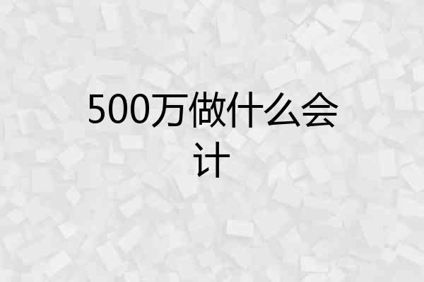 500万做什么会计