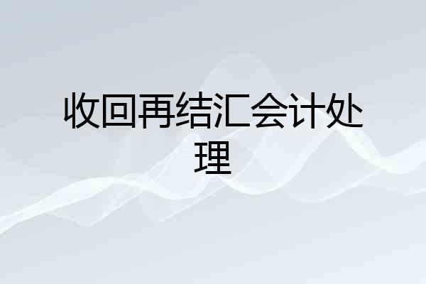 收回再结汇会计处理