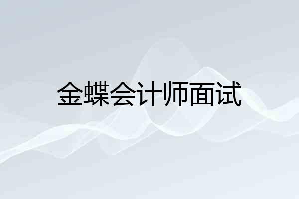 金蝶会计师面试