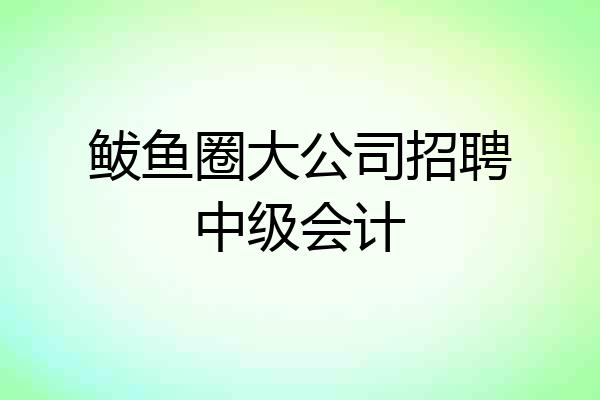 鲅鱼圈大公司招聘中级会计