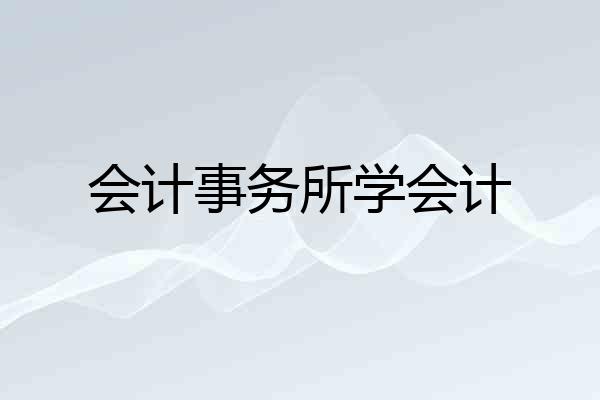 会计事务所学会计