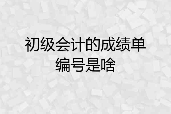 初级会计的成绩单编号是啥