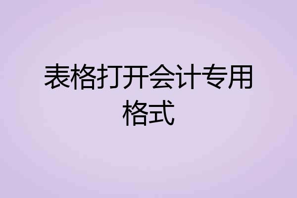 表格打开会计专用格式
