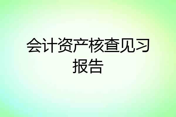 会计资产核查见习报告
