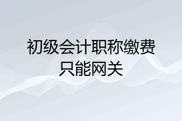 初级会计职称缴费只能网关