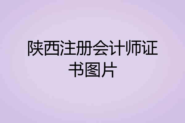 陕西注册会计师证书图片