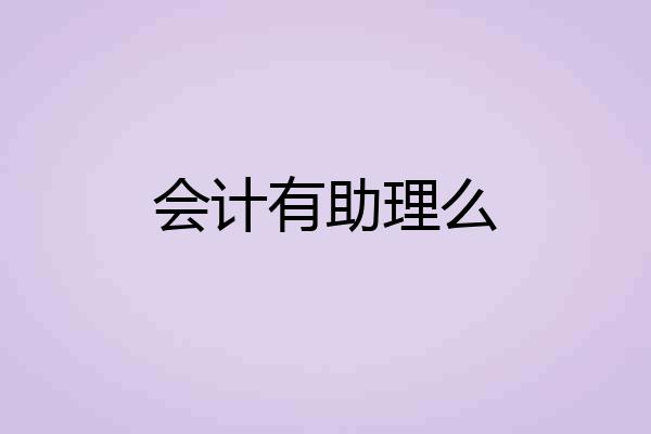 会计有助理么