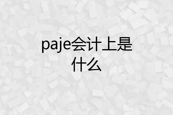 paje会计上是什么