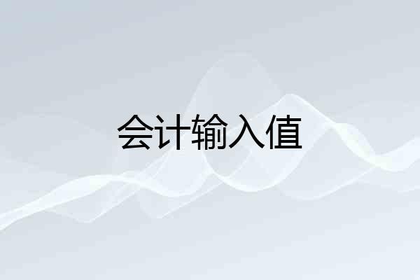 会计输入值
