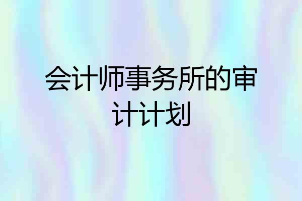 会计师事务所的审计计划