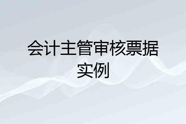 会计主管审核票据实例