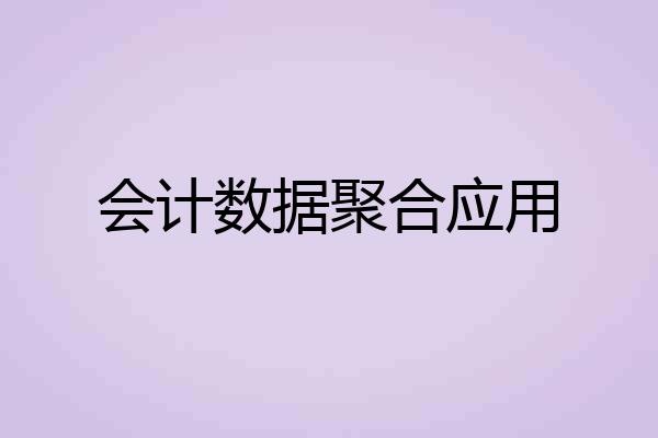会计数据聚合应用