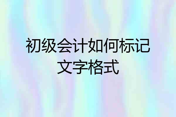 初级会计如何标记文字格式