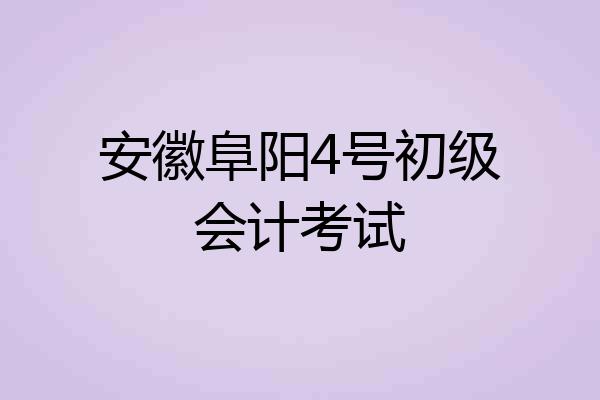 安徽阜阳4号初级会计考试