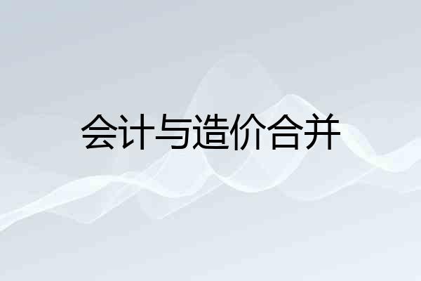 会计与造价合并