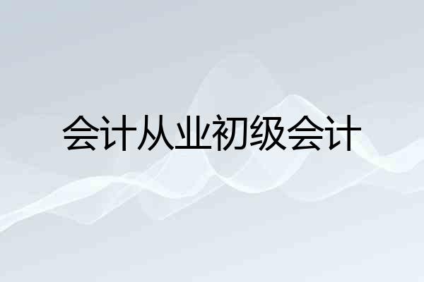 会计从业初级会计