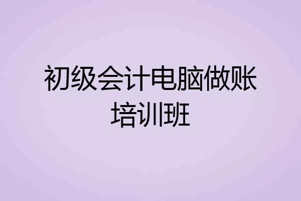初级会计电脑做账培训班