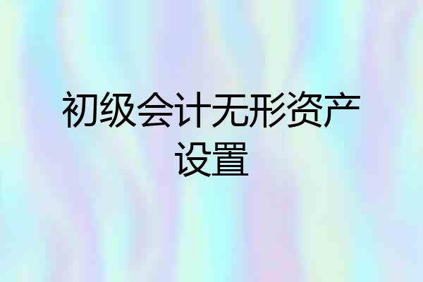 初级会计无形资产设置