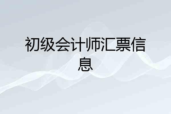 初级会计师汇票信息