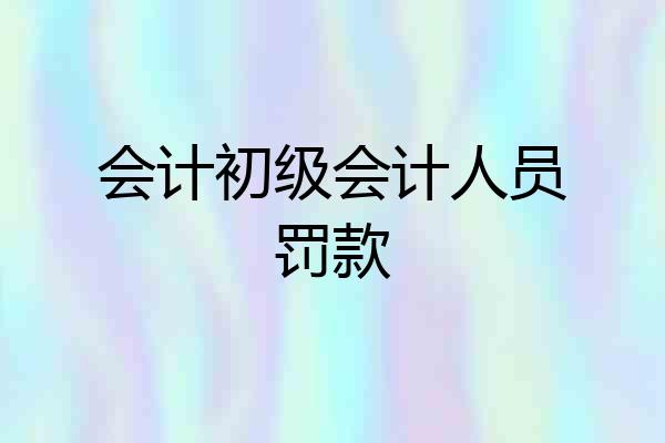 会计初级会计人员罚款