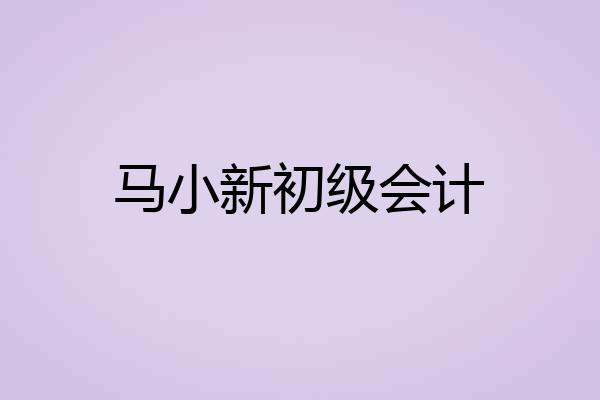 马小新初级会计