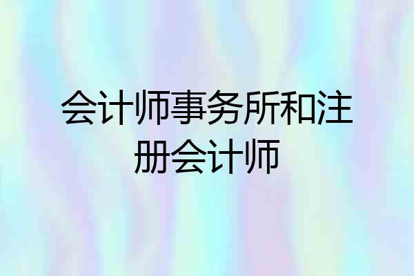 会计师事务所和注册会计师