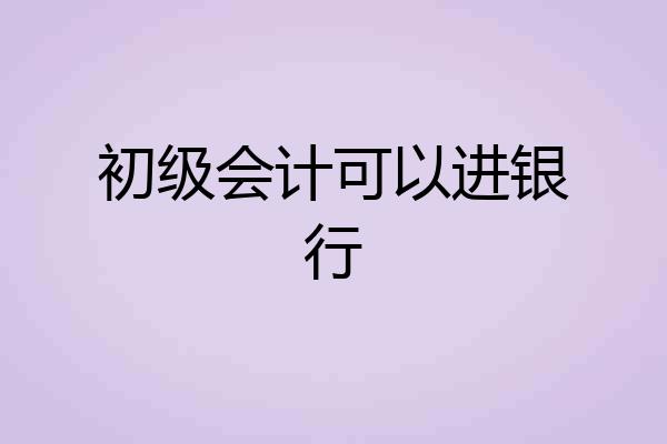 初级会计可以进银行