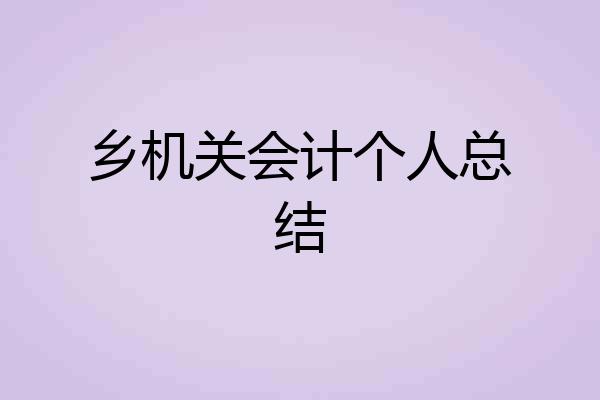 乡机关会计个人总结