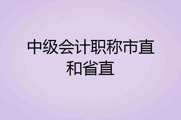 中级会计职称市直和省直