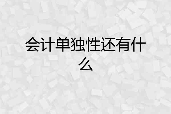 会计单独性还有什么