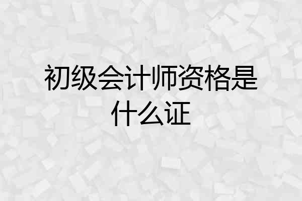 初级会计师资格是什么证