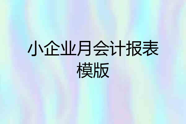 小企业月会计报表模版